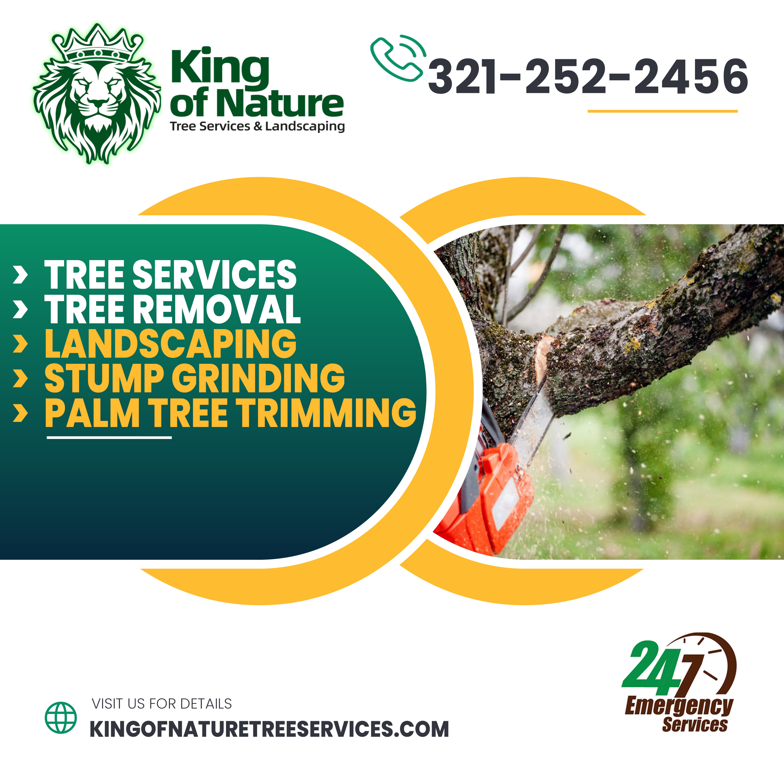 tree services, stump grinding, palm tree trimming, landscaping