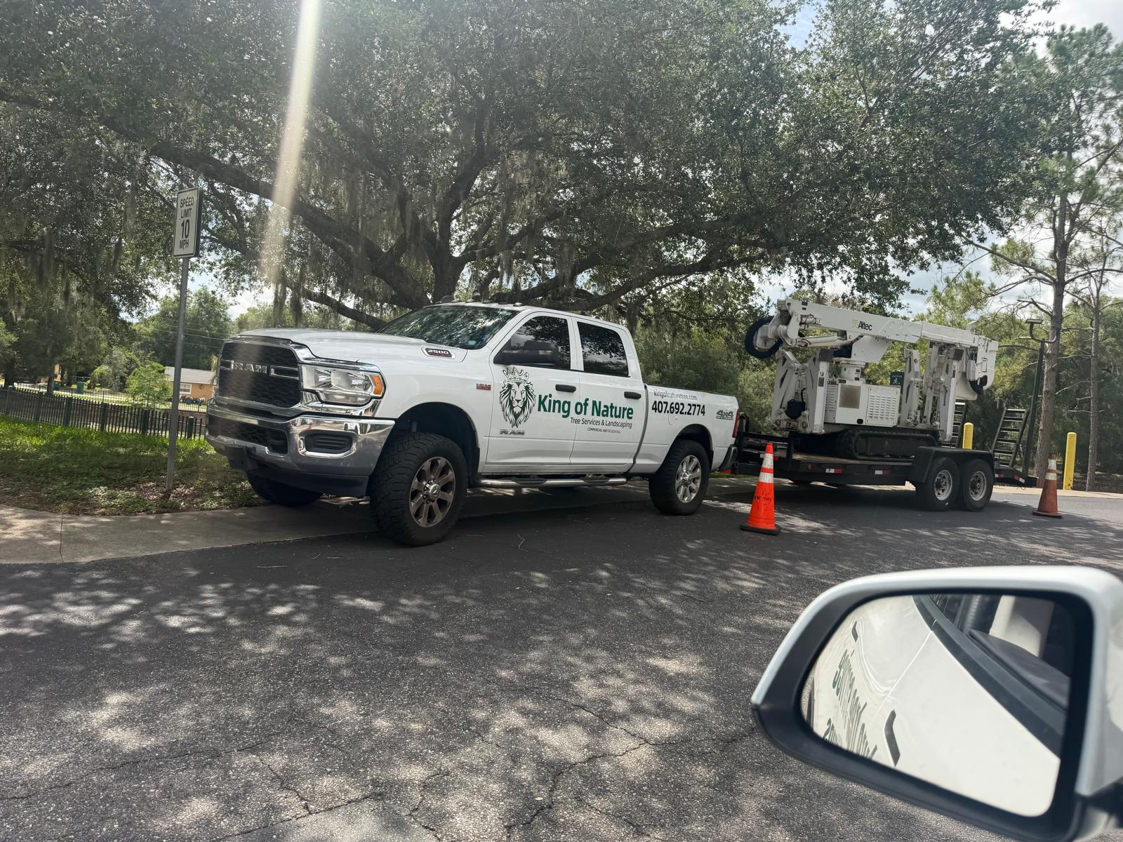 tree services
